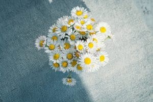 Quel rôle donner aux enfants